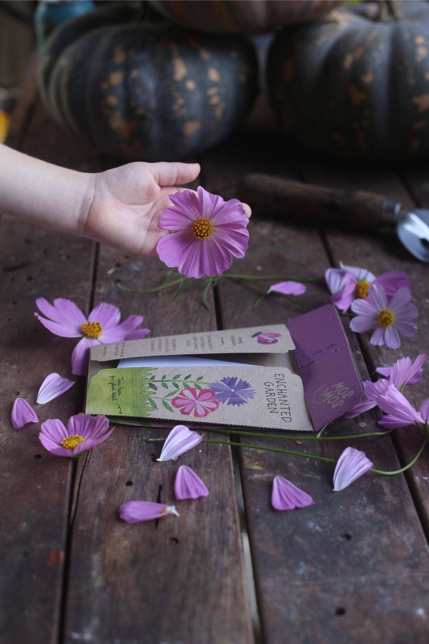 Enchanted Garden Gift of Seeds