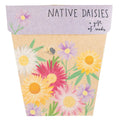 Native Daisies Gift of Seeds