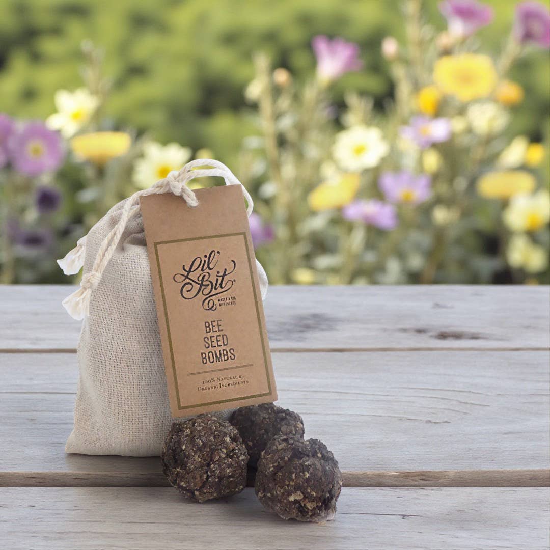 Bee & Beneficial Insect Seed Balls - 2 Sizes - Organic - pack 3