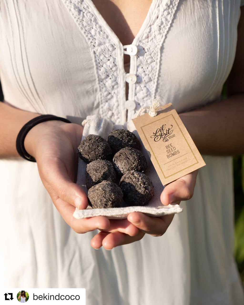 Bee & Beneficial Insect Seed Balls - 2 Sizes - Organic - pack 3