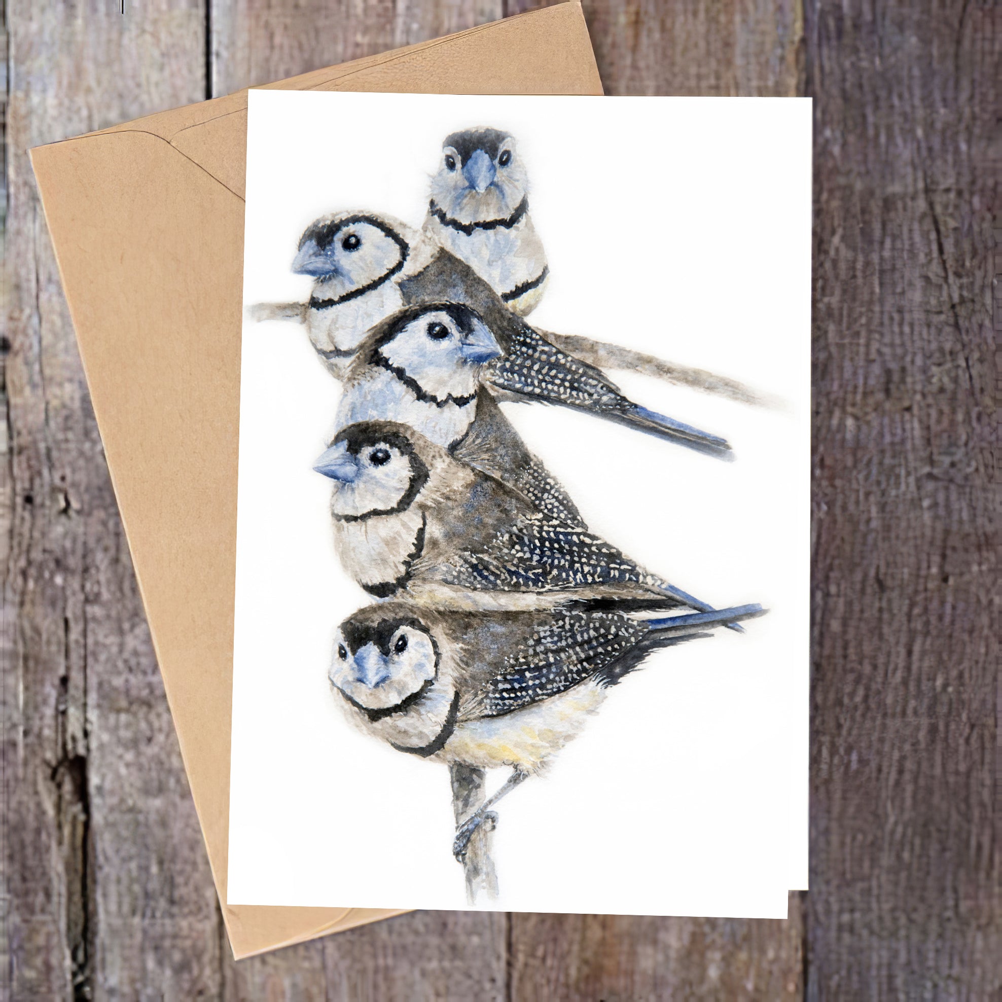 "On the Lookout" Double Barred Finch Greeting Card