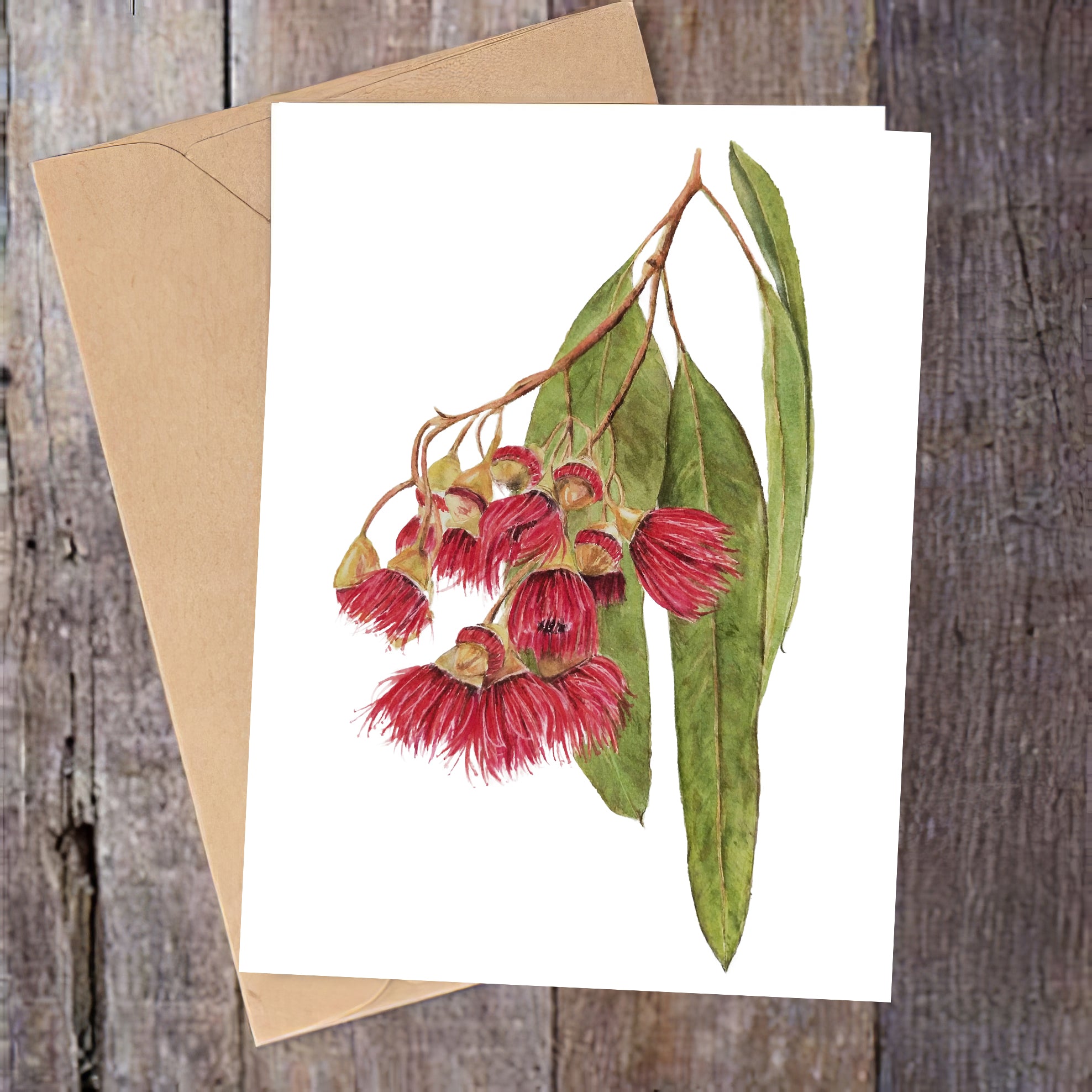 "Big Red" Flowering Gum Greeting Card