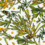 DIY Beeswax Food Wrap Kit