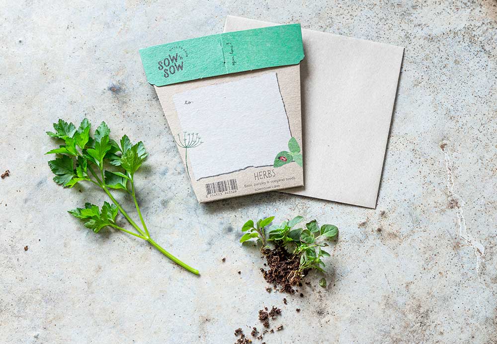 Garden Herbs Gift of Seeds