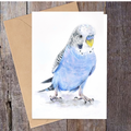 "Billy" Budgee Greeting Card